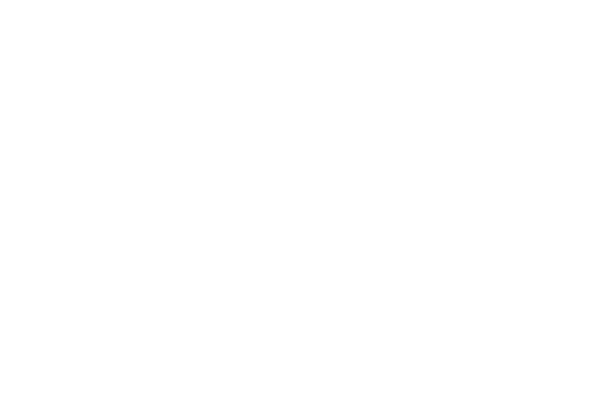 feature-item-1