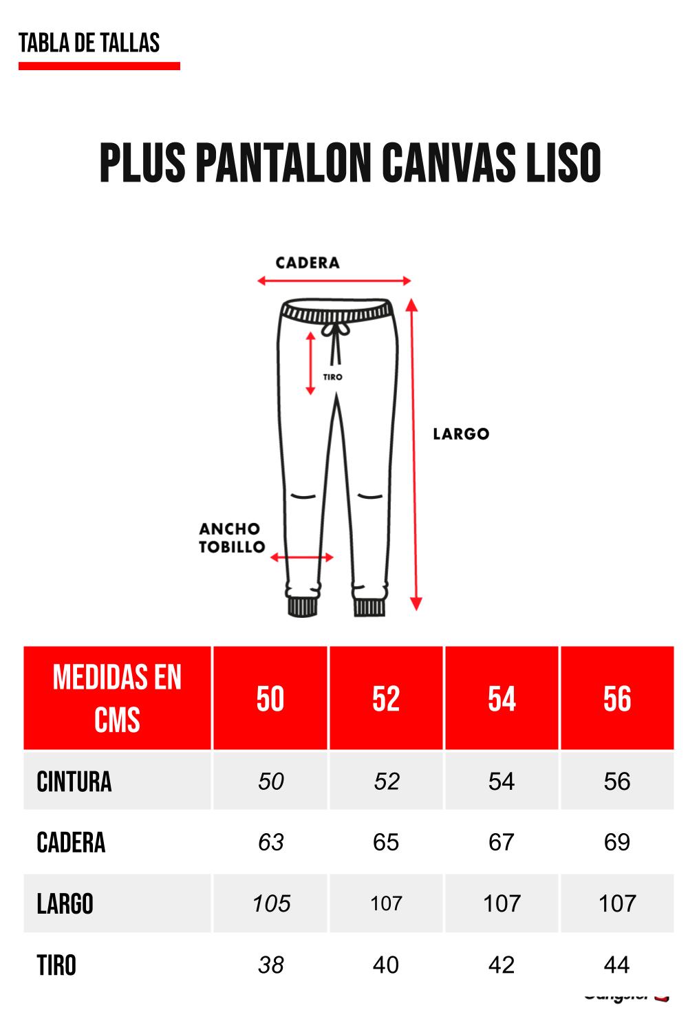 Plus Pantalon Canvas Liso Chester Gris-5